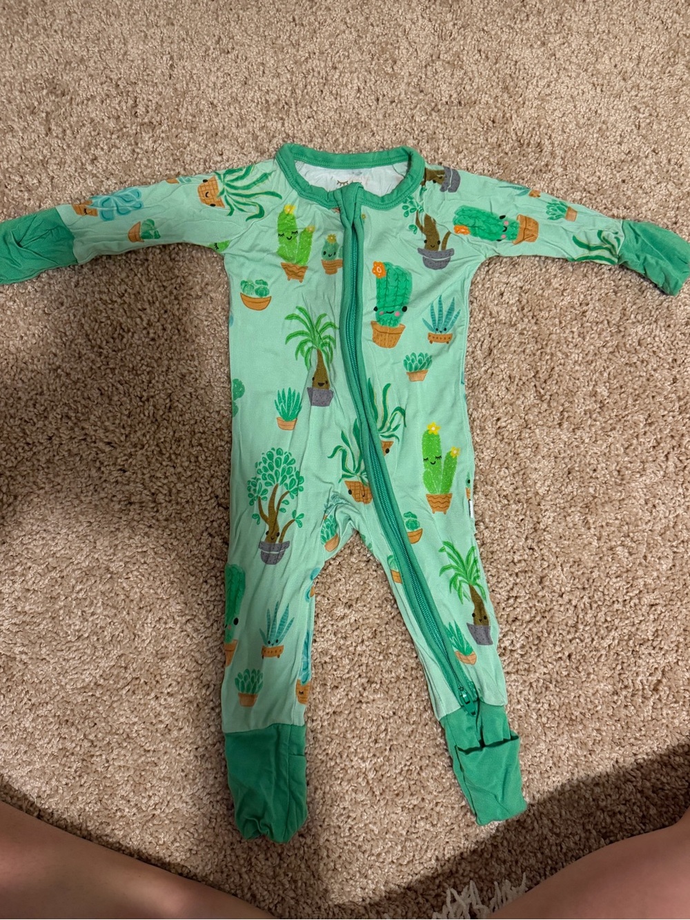 Little Sleepies Cactus Zippy